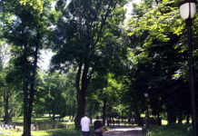 ノルウェーの夏のホリデー