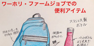 オーストラリアのワーホリでファームジョブ前に揃えておくべき便利アイテム