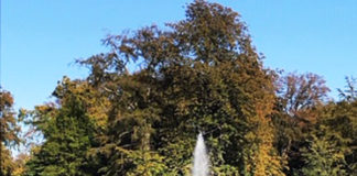 『世界で一番幸福な国』デンマークの魅力とは?