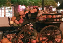 キャッシュレスだから詐欺に気をつけよう@デンマーク