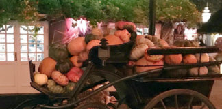 キャッシュレスだから詐欺に気をつけよう@デンマーク