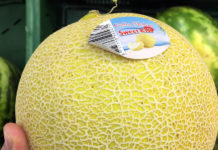 物価の安さ・ハイテク・住みやすさ ポーランドは穴場の国!