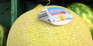 物価の安さ・ハイテク・住みやすさ ポーランドは穴場の国!