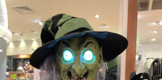 シェアハウス探し、空港タクシー・・・騙されないために知っておきたい、その手口とは