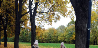 流行によってあまり左右されないノルウェースタイル