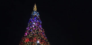 香港発・今年はどこでクリスマスを楽しむか