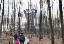 的外れなアドバイス・存在しなかったビザで、私の人生が大きく変わってしまった