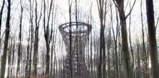 的外れなアドバイス・存在しなかったビザで、私の人生が大きく変わってしまった