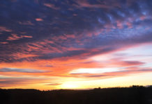 高いと思うか、安いと思うか? 税率40%の国の最低賃金