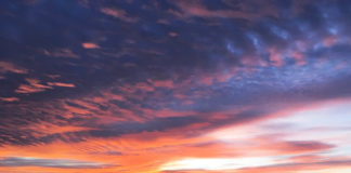 高いと思うか、安いと思うか? 税率40%の国の最低賃金