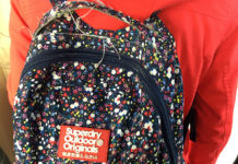 渡独準備にあたり、私が参考にしたもの