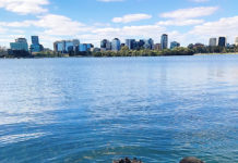 あのカラフルな鳥の名前は?!身近な野生動物を見に行こう@オーストラリア