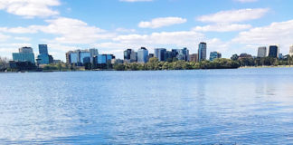 あのカラフルな鳥の名前は?!身近な野生動物を見に行こう@オーストラリア