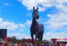 競馬で仕事が休みに!?賑やかなメルボルンカップ
