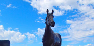 競馬で仕事が休みに!?賑やかなメルボルンカップ