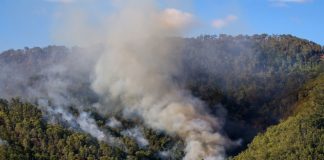 森林火事の被災地ボランティアでセカンドワーホリが申請可能に