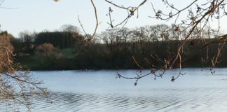 東京オリンピックに出場するデンマーク選手を応援しよう!