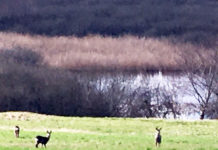 デンマークでは、いつでも誰でも学べる環境が整っている