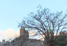 アイルランドで「アイルランドらしいコト」にチャレンジ