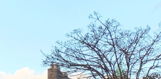 アイルランドで「アイルランドらしいコト」にチャレンジ