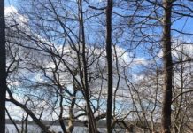 デンマーク生活で活用しているオンラインショップはココ!