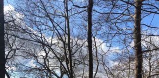 デンマーク生活で活用しているオンラインショップはココ!