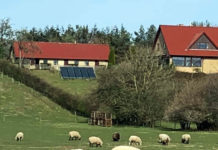 「幸せになる」ための、デンマークの価値観とは?