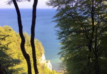 デザインを本場デンマークで学ぼう!