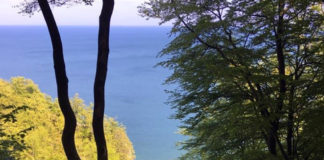 デザインを本場デンマークで学ぼう!