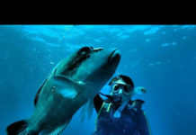 オーストラリアをラウンドしよう!!【前編】クイーンズランド