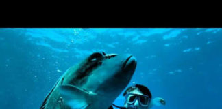 オーストラリアをラウンドしよう!!【前編】クイーンズランド