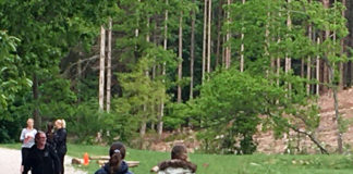 デンマークでは、なんと馬がペット?