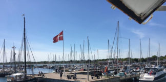 デンマークではコロナ対策とその緩和政策はどのように進められているのか