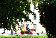 ノルウェーの動物に対する考え方