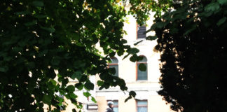 ノルウェーの動物に対する考え方