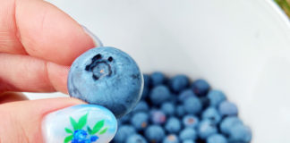 コロナ禍でも稼げる?!ブルーベリーファーム@オーストラリア