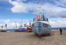 そろそろ準備再開? デンマークのワーホリにオススメの季節は・・・