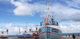 そろそろ準備再開? デンマークのワーホリにオススメの季節は・・・