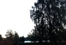 ノルウェー式 無意識のうちにリラックスできる理由はコレ