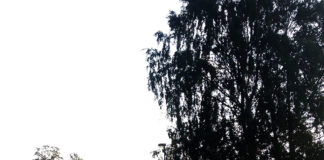 ノルウェー式 無意識のうちにリラックスできる理由はコレ