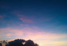 壮絶!?真珠の養殖場体験記@オーストラリアのワーキングホリデー