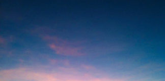 壮絶!?真珠の養殖場体験記@オーストラリアのワーキングホリデー