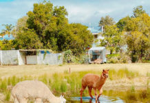 都会 VS 田舎 どちらが快適!?