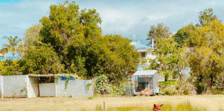 都会 VS 田舎 どちらが快適!?