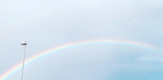 コロナで見えた、アイルランド社会の今