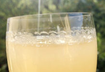 夏が終わって、ヴィノブラニエとブルチャックの季節がやってきた!