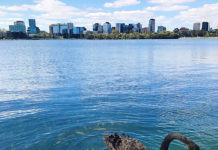 メルボルンに住むメリットとデメリットのいろいろ