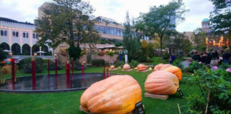 オフラインからオンラインへ コロナ禍デンマーク