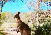 秘訣は「考えすぎない」ことと「開き直り」 私のホームシック解消法!