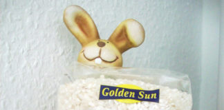 私が衝撃を受けたスイーツ大国ドイツの逸品『ミルヒライス』